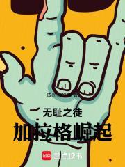无耻之徒加拉格崛起txt