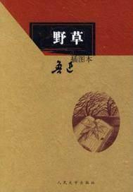 野草莓的图片