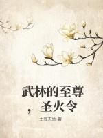 武林圣火令电视剧国语版
