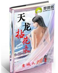 天龙拈花录(真天龙无双)最新章节