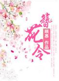 簪花令短剧