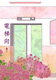 电梯向上升代表什么数字