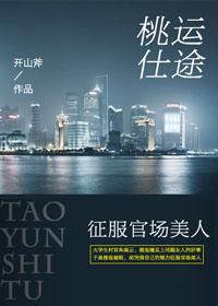 桃运仕途征服官场美人叶凡