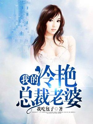 我的冷艳总裁老婆txt