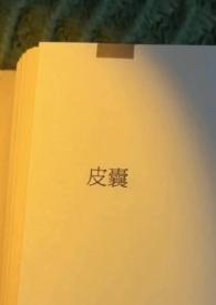 皮囊(出轨