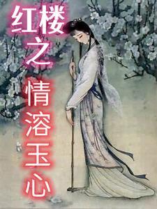 红楼之水定玉心