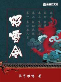 昭雪令电视剧