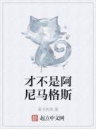 阿尼马格斯是什么意思