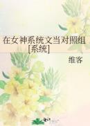 在女神系统文当对照组反系统