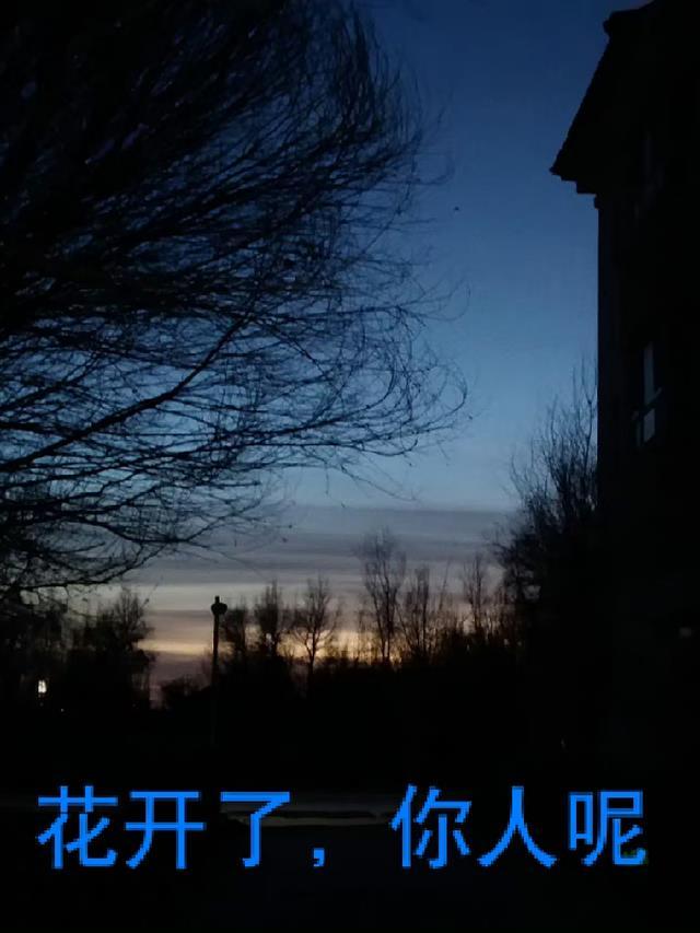 花开了你来不