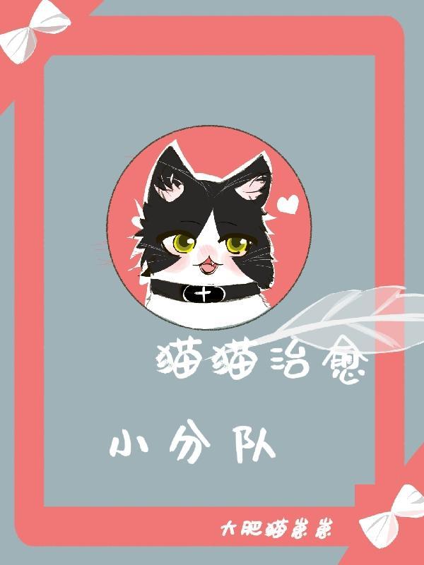 猫咪治愈短视频