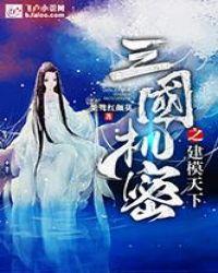 三国机密介绍
