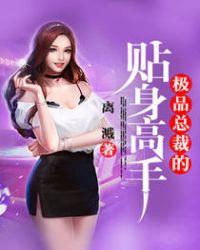 极品总裁贴身医王