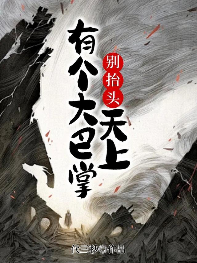 天上有个大巴掌李洵
