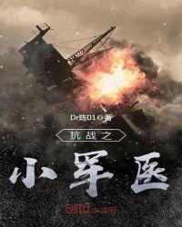 抗战之小军阀系统