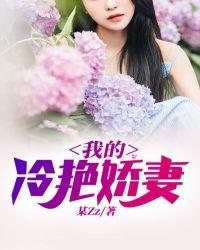 我的冷艳娇妻竟然成为17学生