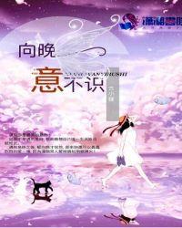 向晚意不适全诗翻译