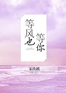 等风也等你免费观看