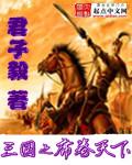 三国大时代霸王立志