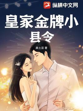 穿越金牌县令免费阅读