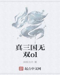 真三国无双ol有可能重开吗