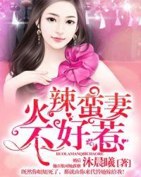 辣妻不好惹