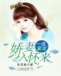 一夜蜜婚老公宠入怀