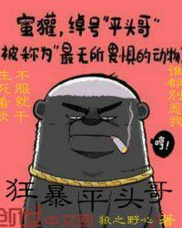 平头哥绝技
