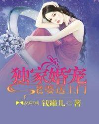 独家婚宠免费阅读