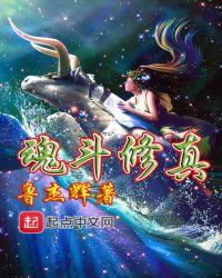 斗魂等级划分
