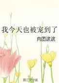 祖龙血脉叶凡