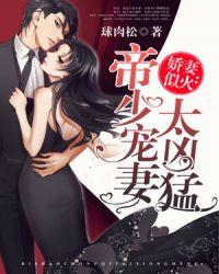 帝少宠妻太深度免费版
