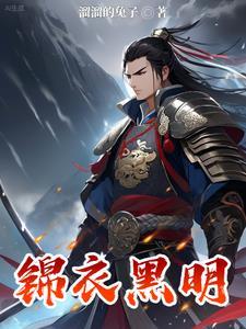 锦衣黑明by笔趣阁免费阅读