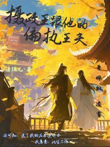 摄政王的男