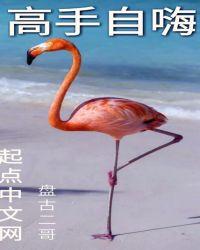 飞碟时代未来展望