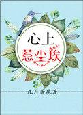 心上惹尘埃完整版结局