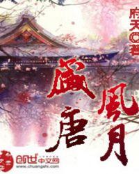 盛唐风月女主有几个