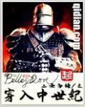穿入中世纪TXT