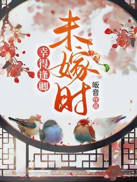 幸得相逢未嫁时书籍