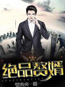 绝品赘婿免费