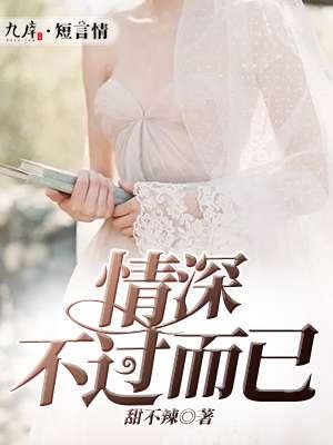 情深不过你全文免费阅读