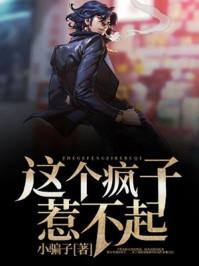 第一章你这个疯子