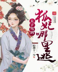 太子妃姬狐