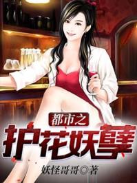 都市护花全集