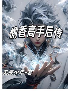 偷香高手t