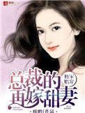 夫人不好惹电视剧