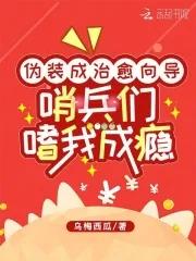哨兵们嗜我成瘾作者乌梅西瓜