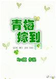 天龙八部 神仙姐姐