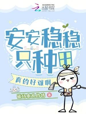 安安稳稳的什么?