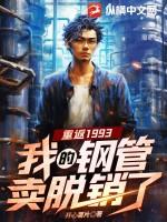 重返我的1993顶点